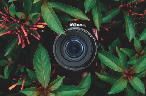 black Nikon camera behind green plants